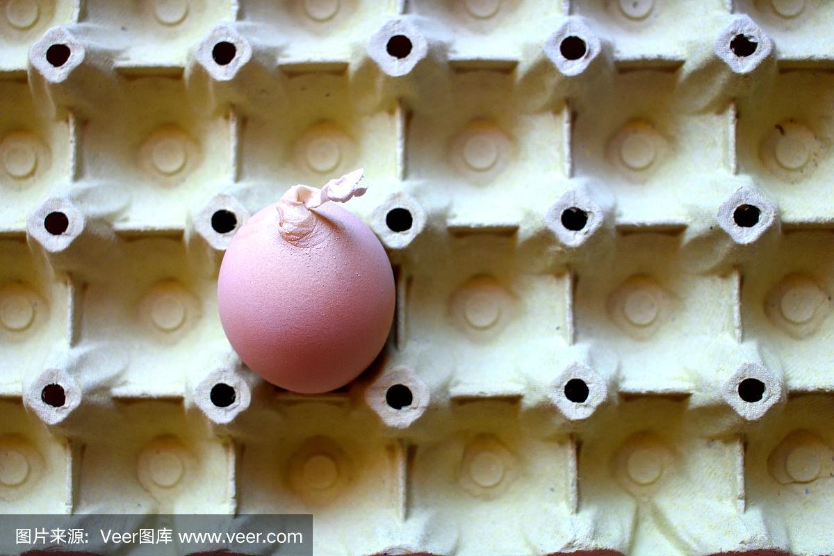 最新卵蛋，，，，，科技、生态与未来的融合交汇点