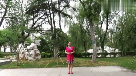 刘荣引领最新广场舞风潮，，，，，舞感人生展现风范